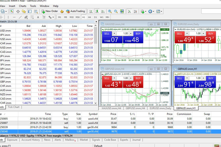 IMMFX Forex 30%